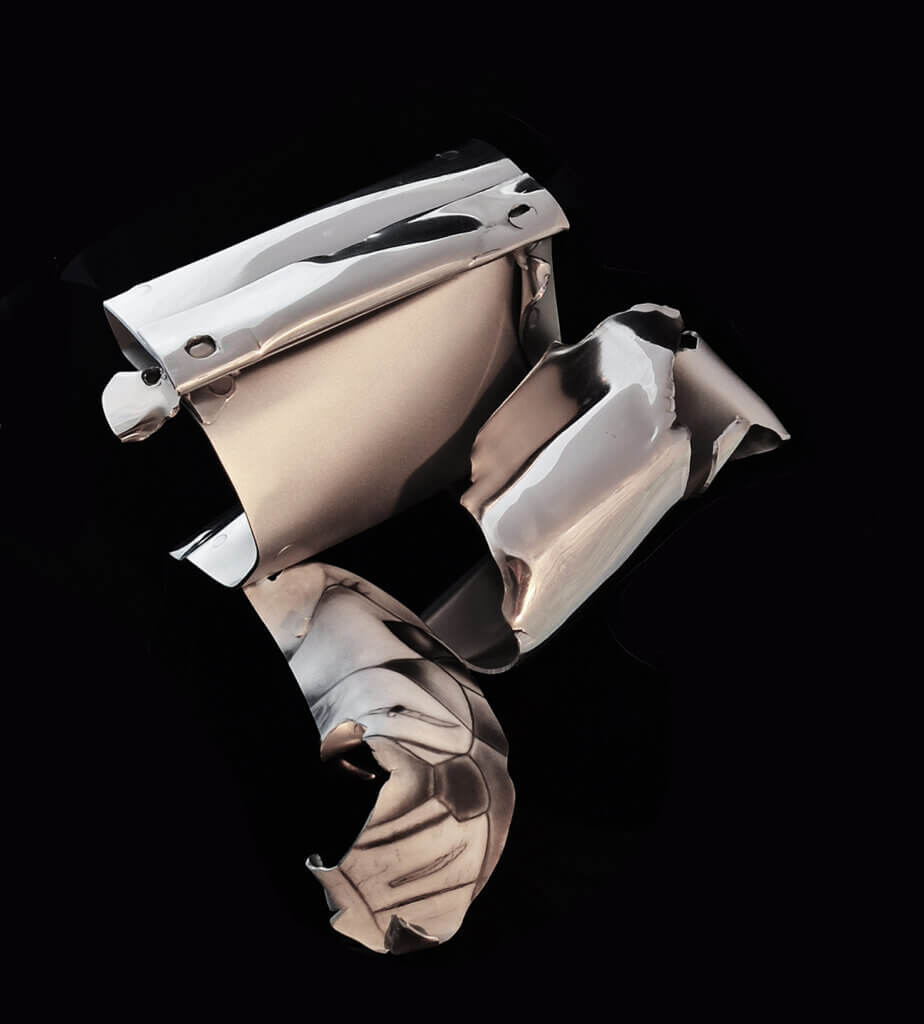 Photo sculpture Exubérance. Acier, huile sur acier - 22 x 20 x 18 cm